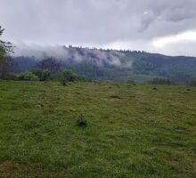 Casa 38 de vânzare | Domeniul din Apuseni