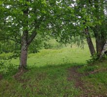 Casa 38 de vânzare | Domeniul din Apuseni