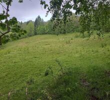 Casa 38 de vânzare | Domeniul din Apuseni