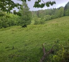 Casa 38 de vânzare | Domeniul din Apuseni