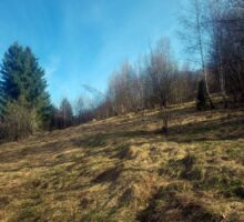 Casa 39 de vânzare | Domeniul din Apuseni