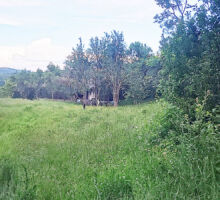 Casa 40 de vânzare | Domeniul din Apuseni