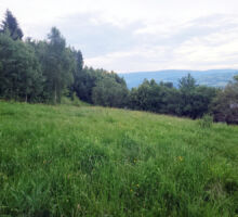 Casa 40 de vânzare | Domeniul din Apuseni