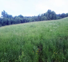 Casa 40 de vânzare | Domeniul din Apuseni