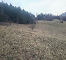 Casa 42 de vânzare | Domeniul din Apuseni