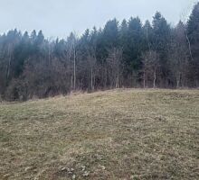 Casa 42 de vânzare | Domeniul din Apuseni