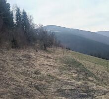 Casa 42 de vânzare | Domeniul din Apuseni