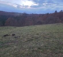 Casa 45 de vânzare | Domeniul din Apuseni