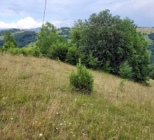 Terenul 2 de vânzare | Domeniul din Apuseni