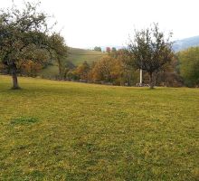 PP5 – Proprietatea 5 | Domeniul din Apuseni