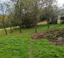 PP5 – Proprietatea 5 | Domeniul din Apuseni