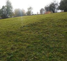 PP5 – Proprietatea 5 | Domeniul din Apuseni