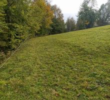PP5 – Proprietatea 5 | Domeniul din Apuseni