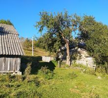 Domeniul 3 de vânzare | Domeniul din Apuseni