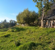 Domeniul 3 de vânzare | Domeniul din Apuseni