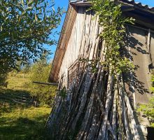 Domeniul 3 de vânzare | Domeniul din Apuseni