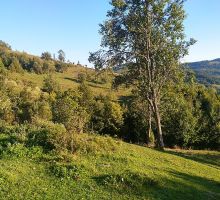 Domeniul 3 de vânzare | Domeniul din Apuseni