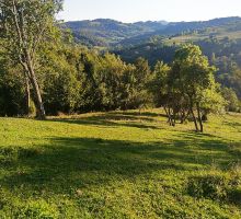 Domeniul 3 de vânzare | Domeniul din Apuseni
