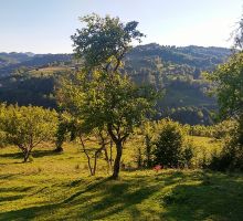 Domeniul 3 de vânzare | Domeniul din Apuseni