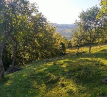 Domeniul 3 de vânzare | Domeniul din Apuseni
