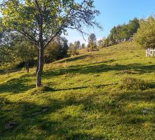 Domeniul 3 de vânzare | Domeniul din Apuseni