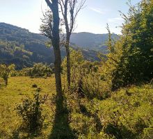 Domeniul 3 de vânzare | Domeniul din Apuseni