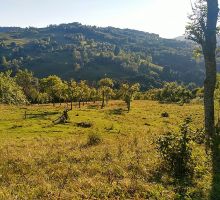 Domeniul 3 de vânzare | Domeniul din Apuseni