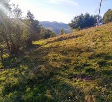 Domeniul 3 de vânzare | Domeniul din Apuseni