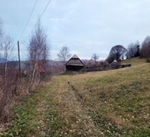Domeniul 6 de vânzare | Domeniul din Apuseni
