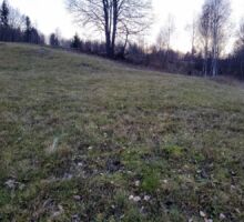 Domeniul 6 de vânzare | Domeniul din Apuseni