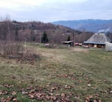 Domeniul 6 de vânzare | Domeniul din Apuseni