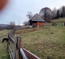 Domeniul 6 de vânzare | Domeniul din Apuseni