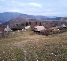 Domeniul 6 de vânzare | Domeniul din Apuseni