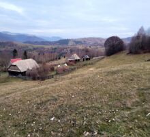 Domeniul 6 de vânzare | Domeniul din Apuseni
