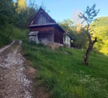 Domeniul 7 de vânzare | Domeniul din Apuseni
