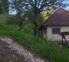Domeniul 7 de vânzare | Domeniul din Apuseni