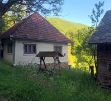 Domeniul 7 de vânzare | Domeniul din Apuseni