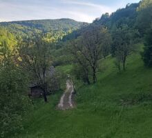 Domeniul 7 de vânzare | Domeniul din Apuseni