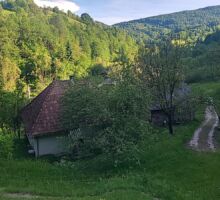 Domeniul 7 de vânzare | Domeniul din Apuseni