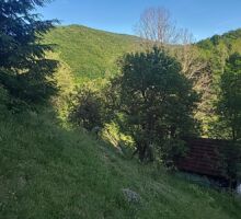 Domeniul 7 de vânzare | Domeniul din Apuseni