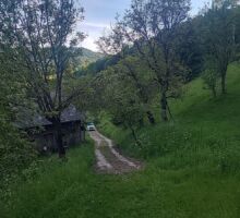 Domeniul 7 de vânzare | Domeniul din Apuseni
