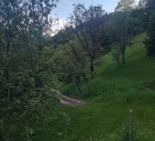 Domeniul 7 de vânzare | Domeniul din Apuseni
