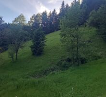 Domeniul 7 de vânzare | Domeniul din Apuseni