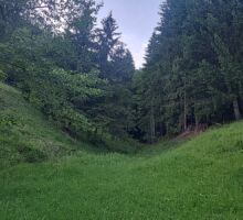 Domeniul 7 de vânzare | Domeniul din Apuseni
