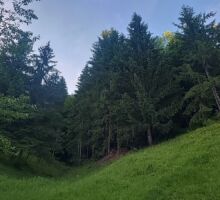 Domeniul 7 de vânzare | Domeniul din Apuseni