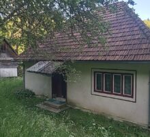 Domeniul 7 de vânzare | Domeniul din Apuseni