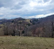 Terenul 3 de vânzare | Domeniul din Apuseni