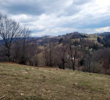 Terenul 3 de vânzare | Domeniul din Apuseni