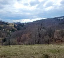 Terenul 3 de vânzare | Domeniul din Apuseni