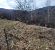 Terenul 3 de vânzare | Domeniul din Apuseni